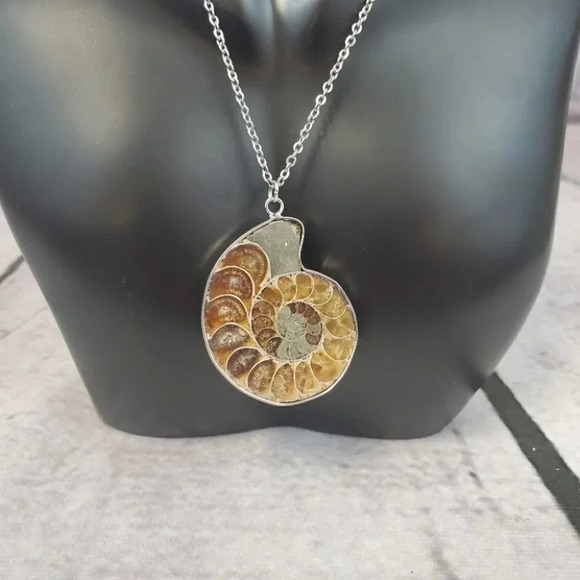 Ammonite Fossil Shell with Silver Plating - Picture 10 of 15